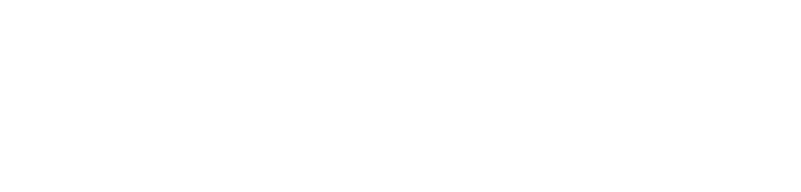 GAES — Global Airspace Management