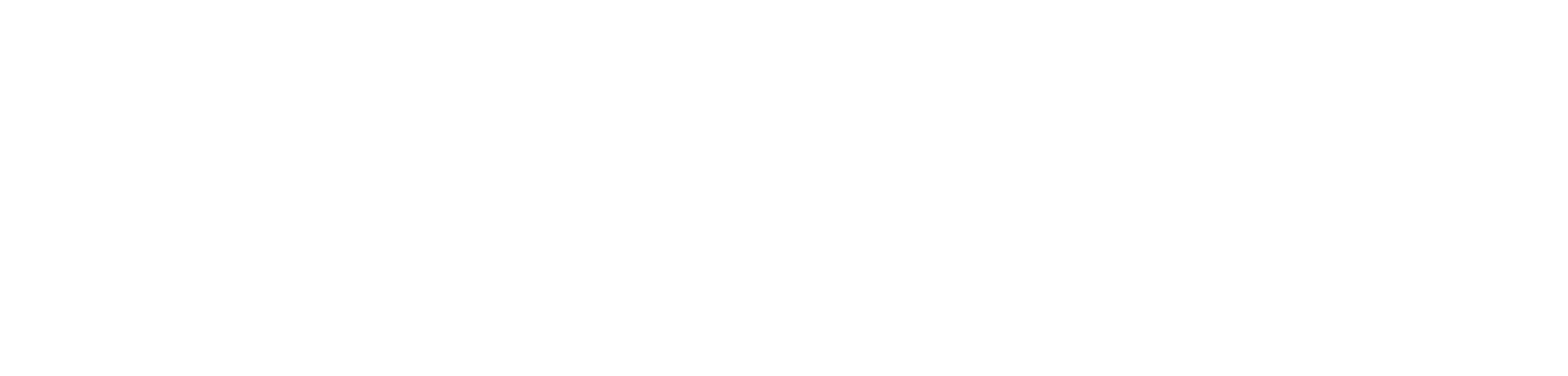 IPS Parking — UAE Parking Solutions