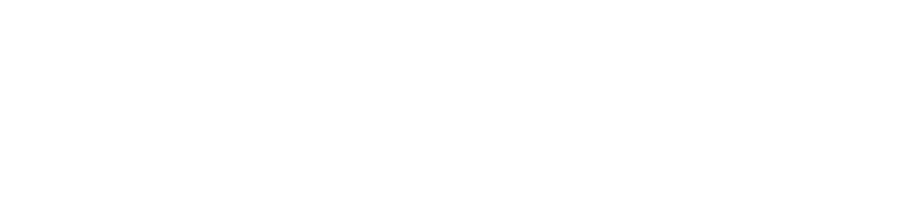 Terminals Holding — UAE Logistics
